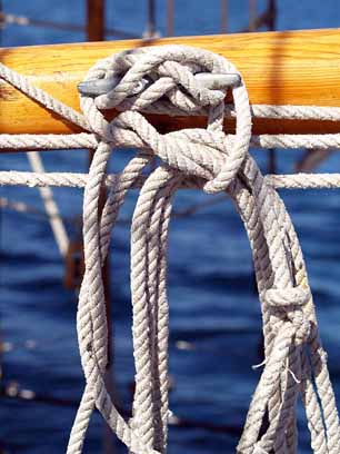 Cleat & Coil