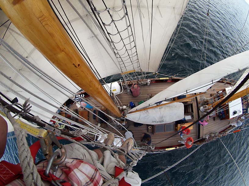 view from part-way up the rigging