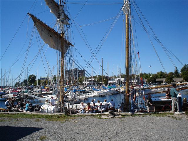 Newsome Photos