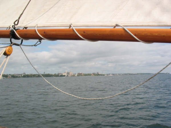 afternoon cruise
